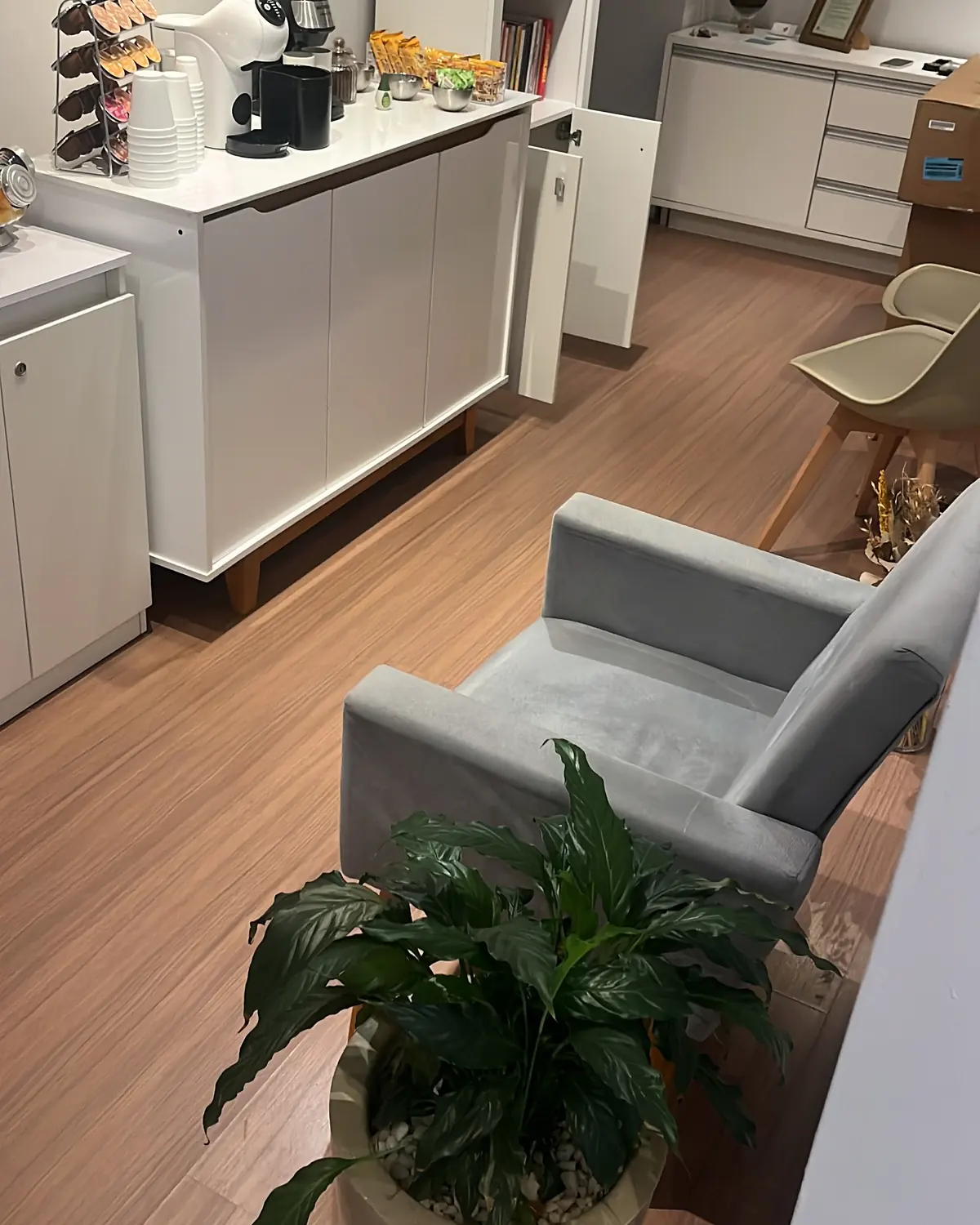 Recepção da ConheSer, com poltrona, plantas e cantinho do café